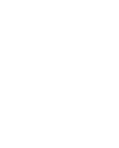 littletaj logo white